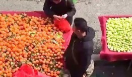 水果摊主爆料怎么做视频,如何制作热门视频攻略